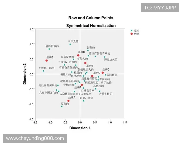 探索yd云顶集团官网在行业中的竞争优势与市场定位分析